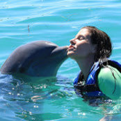 Linda McDonald's photo