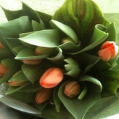 Foto von Ruth