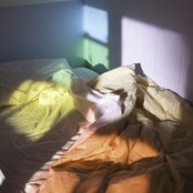Celeste Tsang's photo