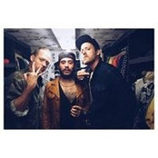 Jonathan Sauermilch's photo