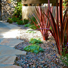 Landscape Ideas