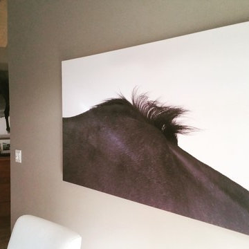 random equestrian canvas work