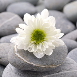 Platin Art's Deco Glass Wall Decor- Glossy White Flower - Wallpaper