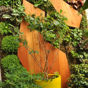 Terrasse en sol majeur