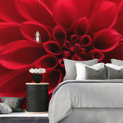 Wallpaper Murals - Products