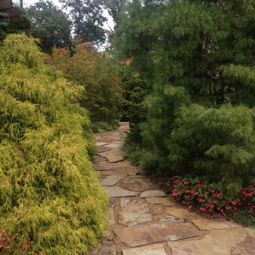 Lush Landscapes