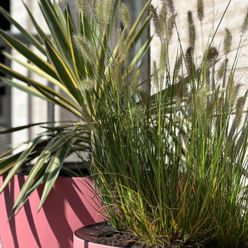 Schmaler Süd-Balkon