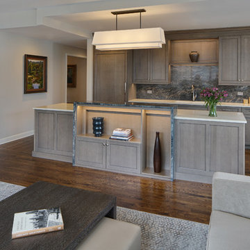 Open Floor Plan - Chicago Condo