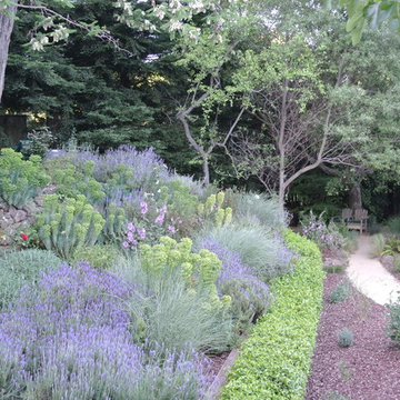 Portola Valley Hideaway