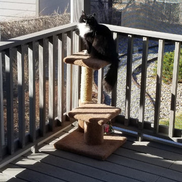 Comfy Catio (Cat Patio / Deck)