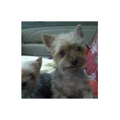 Peggy McFarland's photo