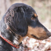 Sharon Hunter's photo