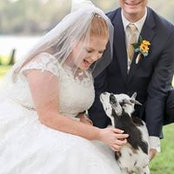 Cassi Van Lent's photo