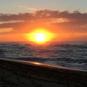 Daniela Jodorkovsky's photo