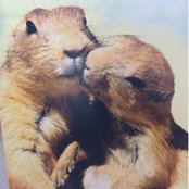 Foto de Sapphira Wang