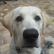 Patricia Riccio's photo