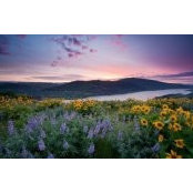 Kev Tra's photo