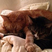 Jennifer Walsh's photo