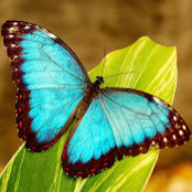 Becky Lyman's photo