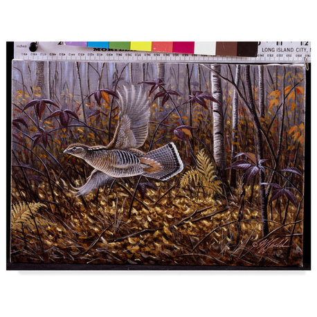 Wilhelm Goebel 'Silver Streak Ruffed Grouse' Canvas Art, 32"x24"