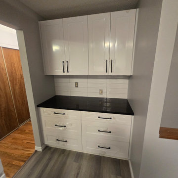 Kitchen Update Dinu