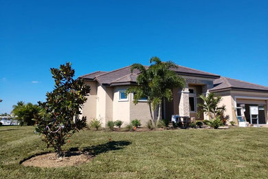 This is an example of a tropical landscaping in Miami.