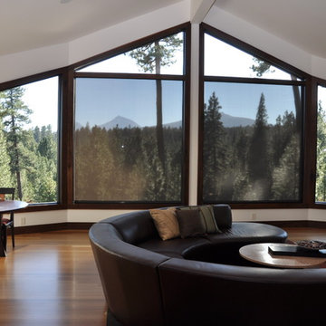 Automated Window Shades and Solar Screens