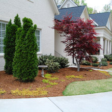 Landscape Design