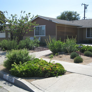 Garden Grove Native/Succulent Front Yard