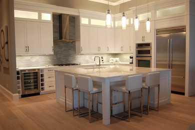 Kitchen - contemporary kitchen idea in Miami
