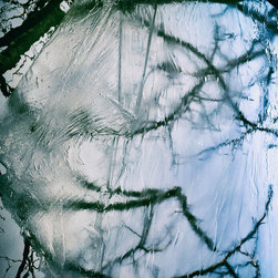 Branches - Photographs