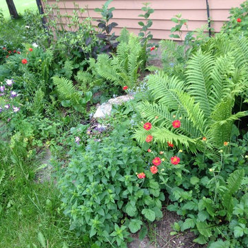 Artist's country garden