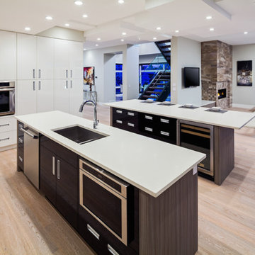 Modern Renovation, Inner City Calgary