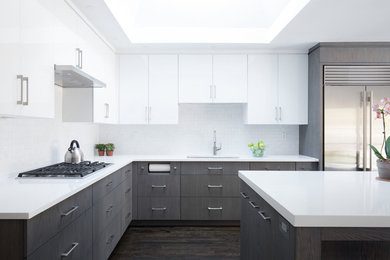 Kitchen - contemporary kitchen idea in New York