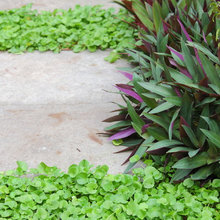 Paths & Stairs