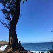 Jesse Vega-Frey's photo