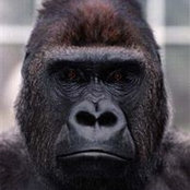 John Brookman's photo