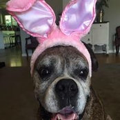 Juliette Sawyer Brossard's photo