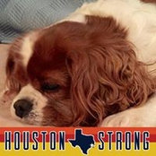Debra Horton's photo