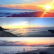 Melanie Haskell's photo