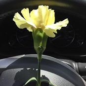 Deb Young's photo