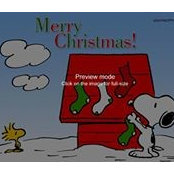Penelope Thompson's photo