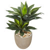 34" Double Agave Succulent Artificial Plant in Sand Stone Planter