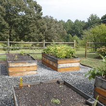 Raised Bed Garden