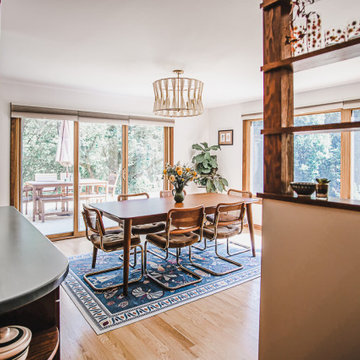 Mid-Century Modern Kitchen