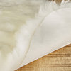 Natural 100% New Zealand Sheepskin Single, 2'x3', Natural