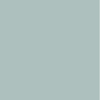 Wedgewood Gray HC-146 by Benjamin Moore