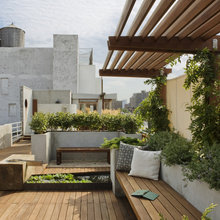 Rooftop Rooftop Rooftop