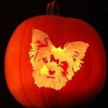 Pumpkin Designs
