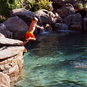 SWIM